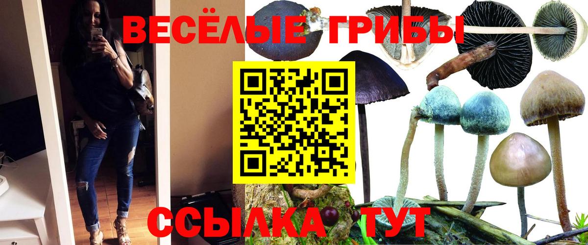 Псилоцибиновые грибы прущие грибы  Вход с VPN  Псилоцибиновые грибы GOLDEN TEACHER  Ревда 